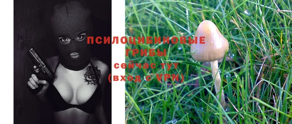 герыч Балахна