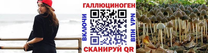 Галлюциногенные грибы Psilocybe  Голицыно 